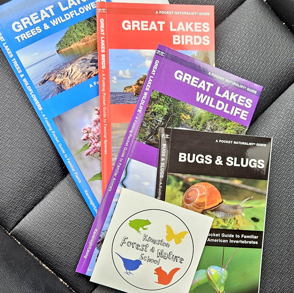 🥰 We are so thankful for Kingston Forest and Nature School! They donated these amazing items to put in Kindergarten's raffle basket for the @GPScouncil June Fun Fair! 🌲 Learn more about them at kingstonforestandnatureschool.ca