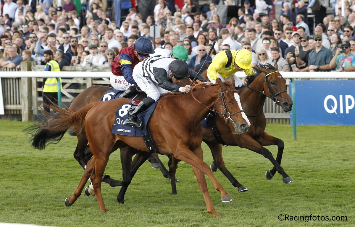 Congratulations to Elmalka for winning the 1000 Guineas (G1).