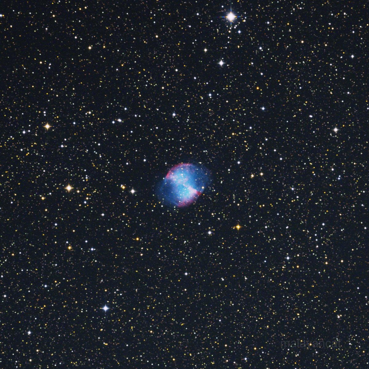 malayancat's tweet photo. こぎつね座の #亜鈴状星雲 (Dumbbell Nebula, Apple Core Nebula) #Messier27 #NGC6853
05/04 03:02~03:53頃
「じゃじゃんと! どうだ さあ 浴衣着て りんご飴~」( ジャポニジフェス ) #虹コン https://t.co/vhepshnCdU https://t.co/vb78qBgVX7