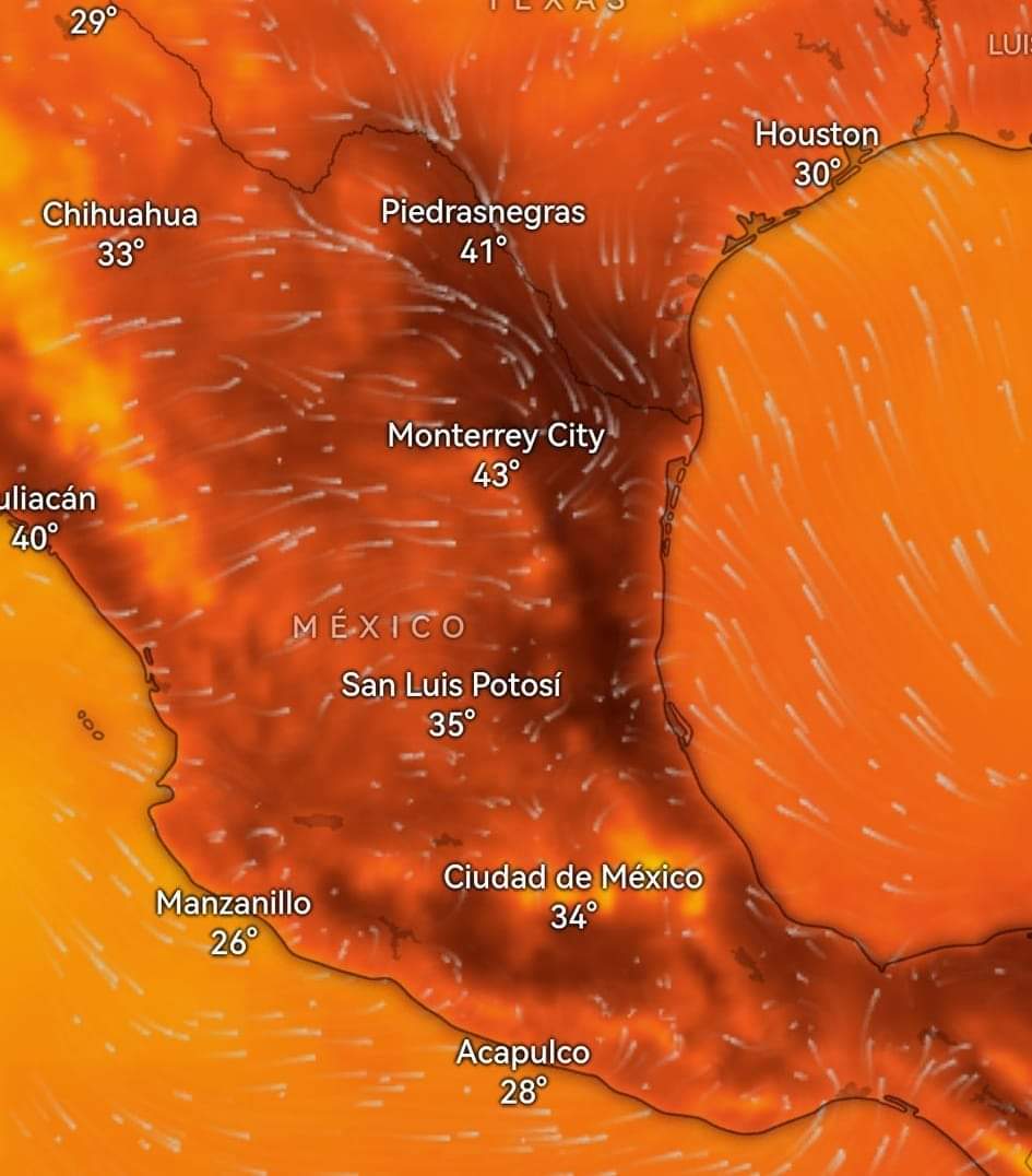 En el transcurso de la semana tendremos temperaturas arriba de los 40 grados Celsius en el área metropolitana de Monterrey.

A mitad de semana el riesgo de incendios será mayor, por lo que se invita a la población a mantenerse hidratada y evitar quemas.

05/05/24
