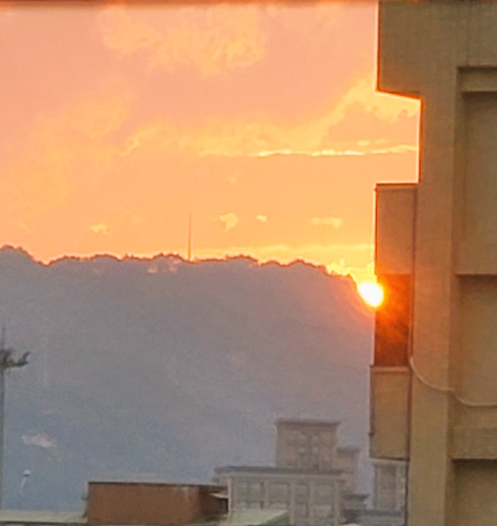 今天是Cora的月圓day
無效掙扎過後 索性選擇沉淪