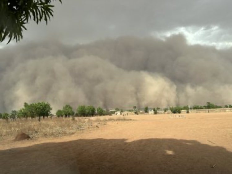 Dust storm happening now!! Guess the location in Northeastern Nigeria?🤔