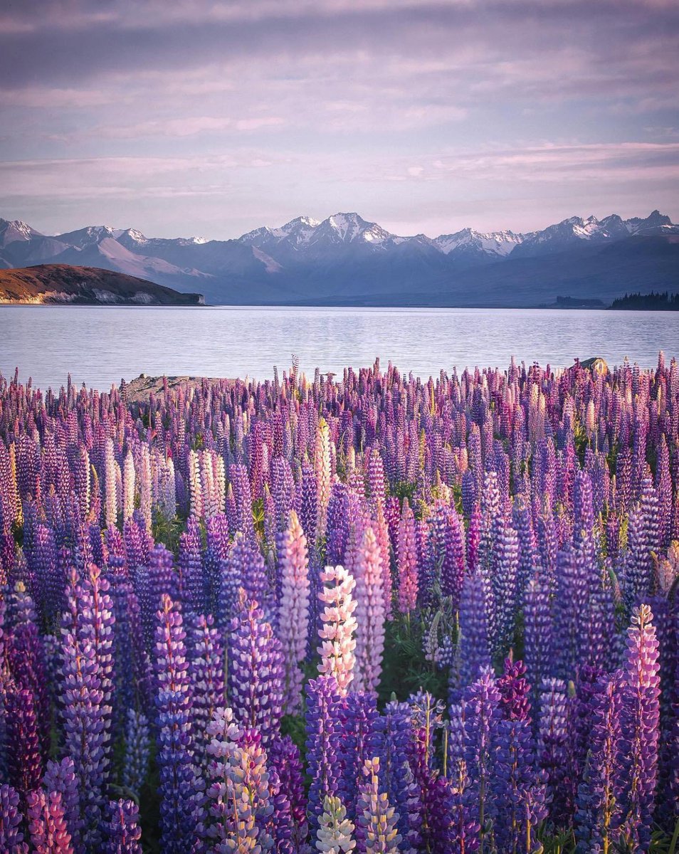 New Zealand #newzealand #photography #X #naturelovers #destinations #scenery #mountains