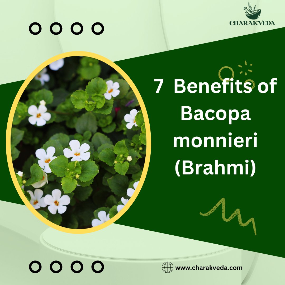 Bacopa monnieri, also called brahmi, water hyssop, thyme-leaved gratiola, and herb of grace, is a staple plant in traditional Ayurvedic medicine.
.
Visit : charakveda.com
.
#bhami #brahmiherb #ayurvedicherb #brainhealth #memorybooster #focus #cognitivefunction