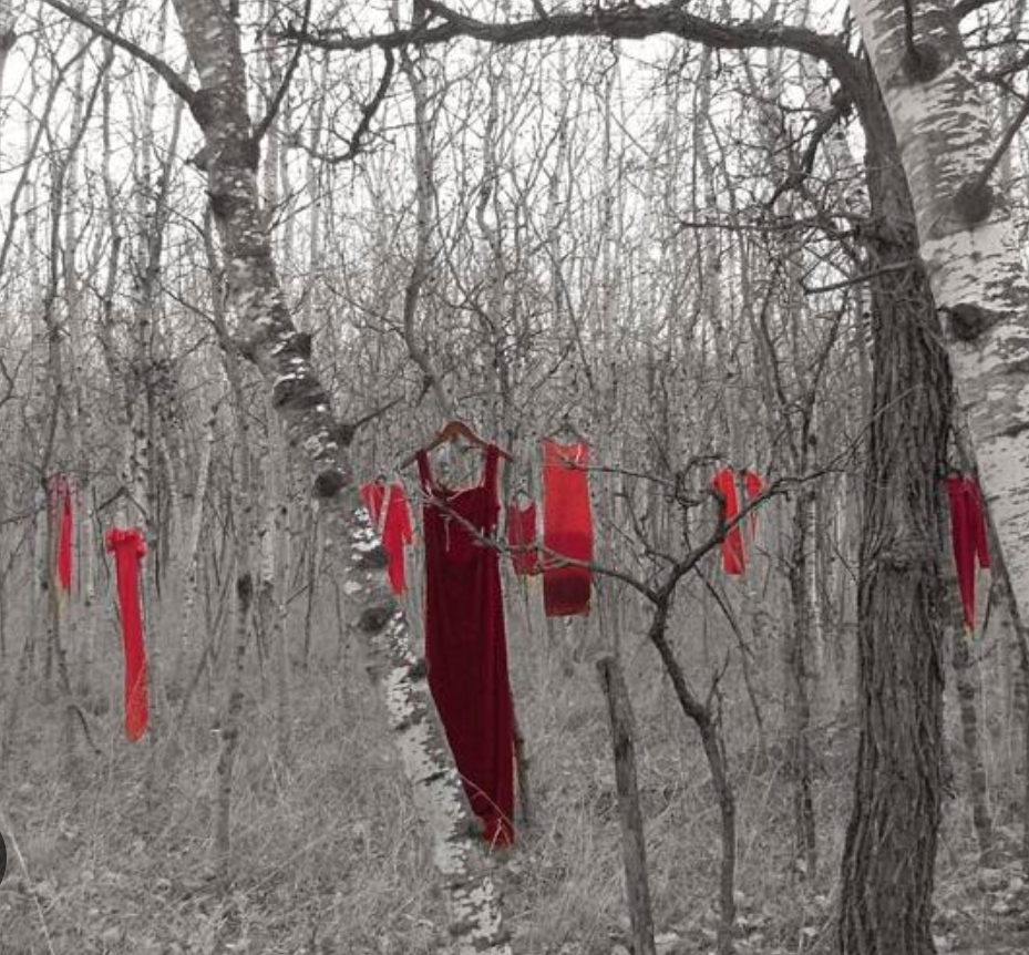 Today is National Day of Awareness for Missing and Murdered Indigenous Women, Girls and Two-Spirit people, also known as Red Dress Day. We mourn with family and friends who have lost loved ones not only on this day, but every day. 
#MMIW #MMIWG2S #RedDressDay #NoMoreStolenSisters