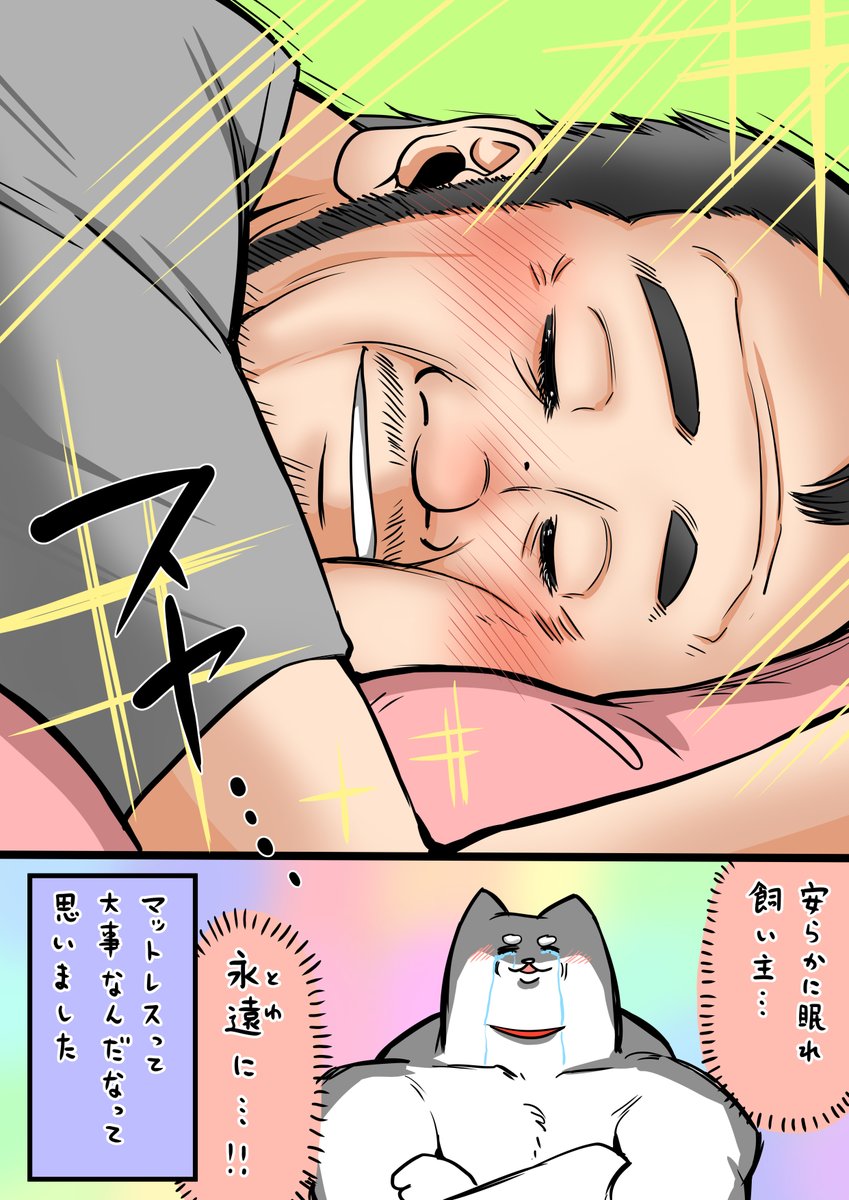 この度縁がありこちらのマットレス(@NELL_mattress )を試すことになったのですが、超快眠できて最高でした。クーポンコードに「jin」と入力したら全サイズ10%割引になってお得だからぜひ試してみて!
#PR 
#NELLマットレス 
#ネル #ネルマットレス 
#NELL愛 