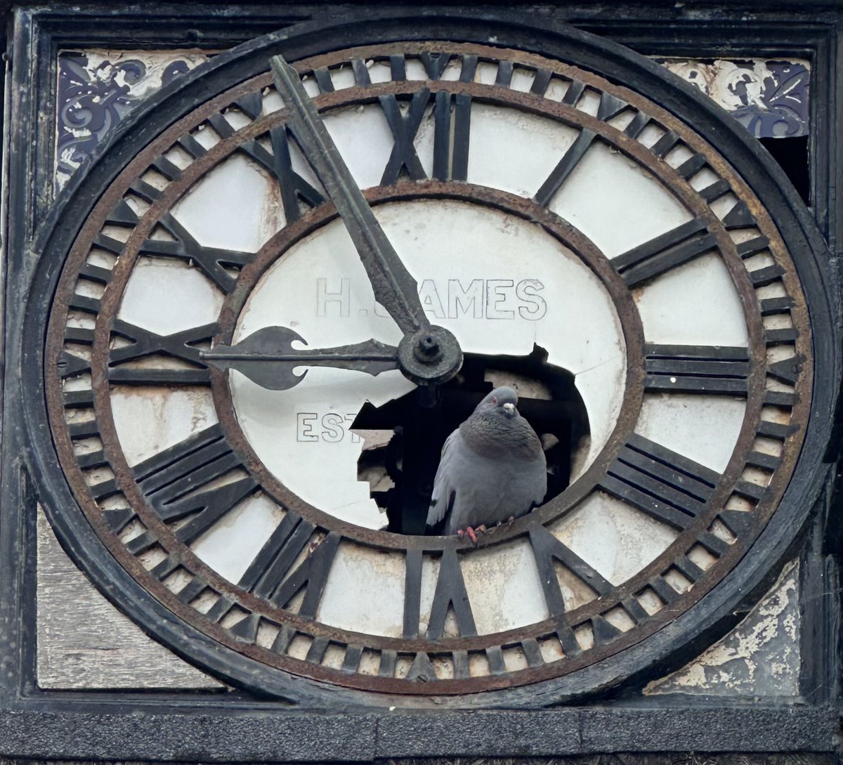 Even a stopped clock tells the right time twice a day… (Pic: my own).