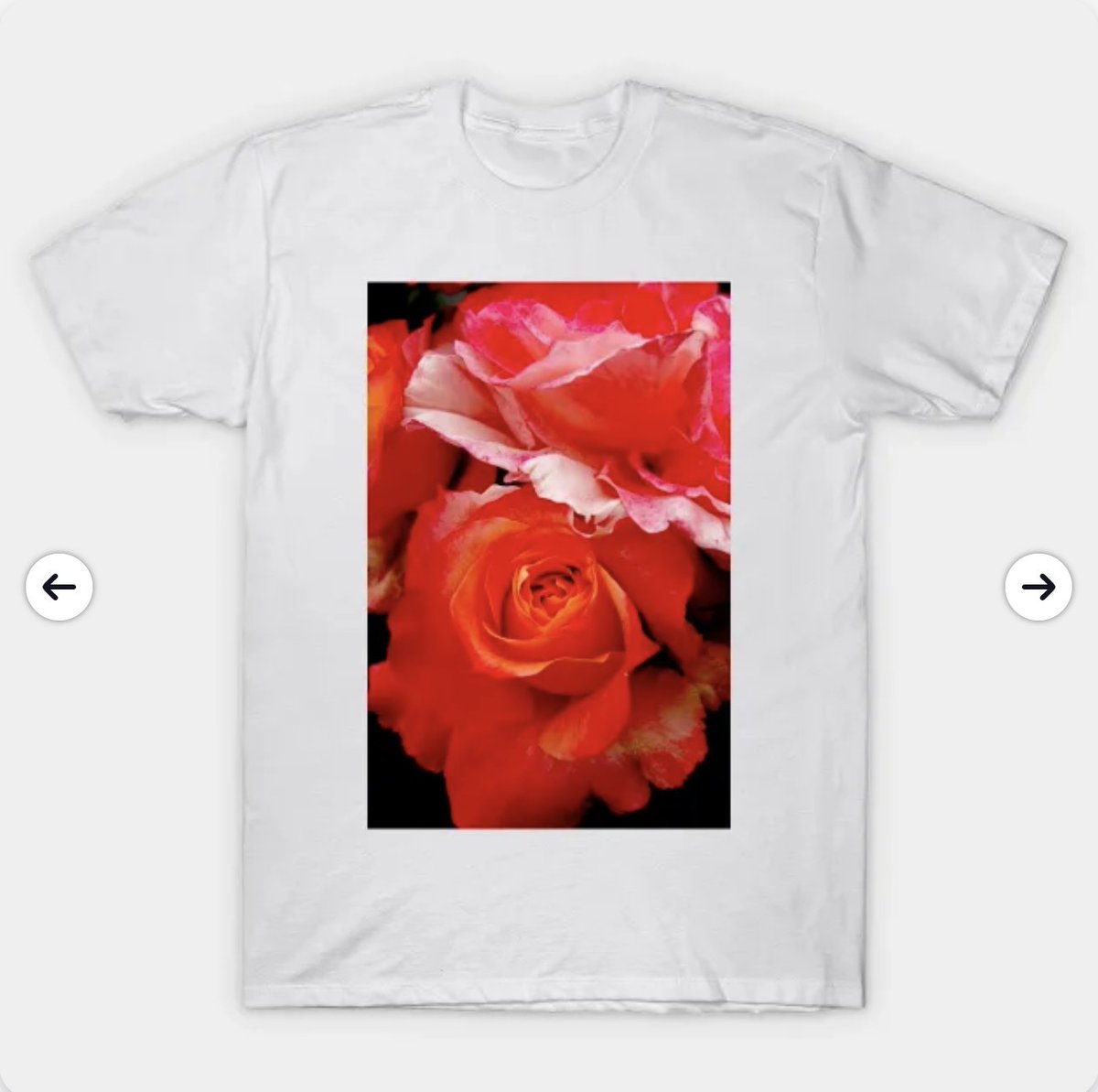 Dark Rose design on lots of stuff in my #TeePublic shop tinyurl.com/33ymrj74 and lots more designs and gift ideas here: linktr.ee/WaterGardens 🌹🌹🌹 #Redbubble #GiftIdeas #WallArt #TShirt #Roses #Flowers The Tee shown is $22.