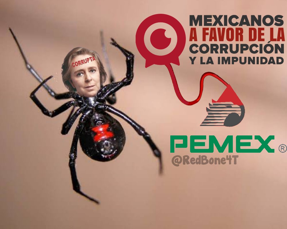 @SuperFeloIII @MXvsCORRUPCION @USAmbMex Es corrupta pq, se vió obligada a ser corrupta dice, Amparo Casar. Claro pertenece al PRIAN. Pero si se veía obligada a ser corrupta pq, es presidenta de una organización MEXICANOS CONTRA LA CORRUPCIÓN Y LA IMPUNIDAD. Puras mentiras puros Enredos para ser corruptos. Qué asco.
