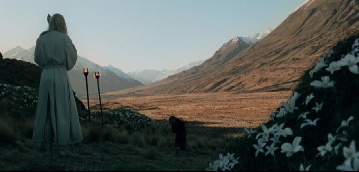 TontonArtheon's tweet image. Ici repose Theoden, seigneur du Rohan.