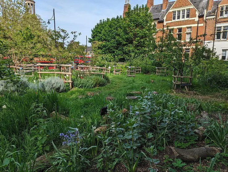 In photos: the Brixton Orchard bursts back into life brixtonbuzz.com/2024/05/in-pho…