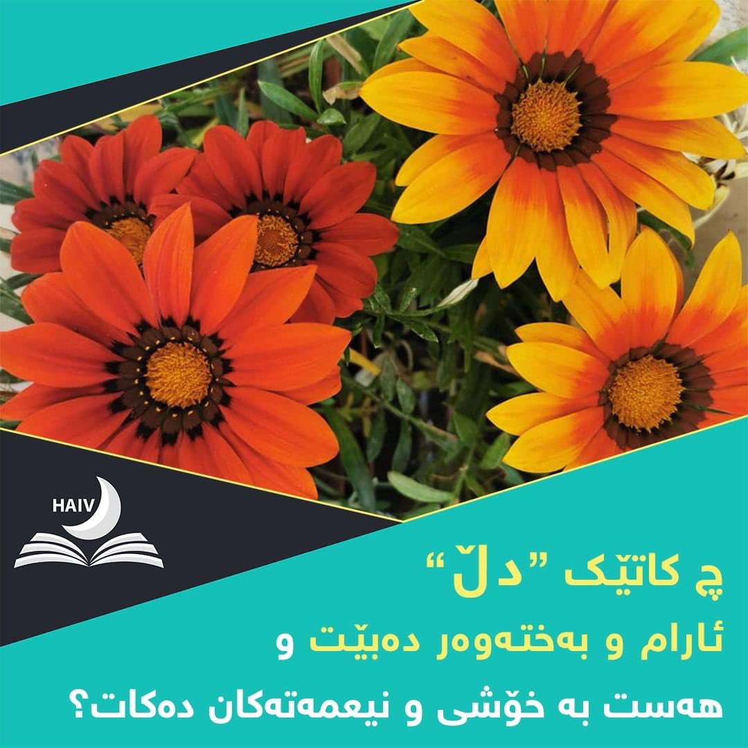 HaivMagazine's tweet image. ئیبن ته‌یمیه‌ له‌ كتێبی (العبودیة)دا ده‌ڵێ‌:
دڵ چاك نابێت، ئارام و به‌خته‌وه‌ر نابێت..
سه‌ركه‌وتوو نابێت، هه‌ست به‌خۆشی نیعمه‌ته‌كان ناكات، چێژو له‌ززه‌ت وه‌رناگرێت،
تـــــــــــاوه‌كو
عیباده‌تی خودا نه‌كات، خـۆشه‌ویستی خوای تێدانه‌بێت، به‌ ئاگا و ته‌وبه‌كار نه‌بێت.