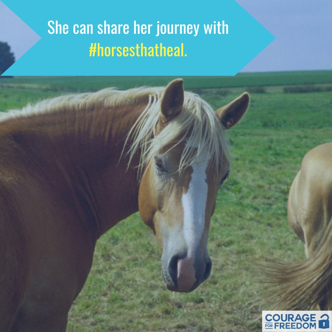 #Horsesthatheal sessions create a platform for sharing a journey that she never wanted to take, that she never wants to repeat and that you don't need details about. #ptsd #traumainformed #ListentoSurvivors #sundayfunday #projectmapleleaf