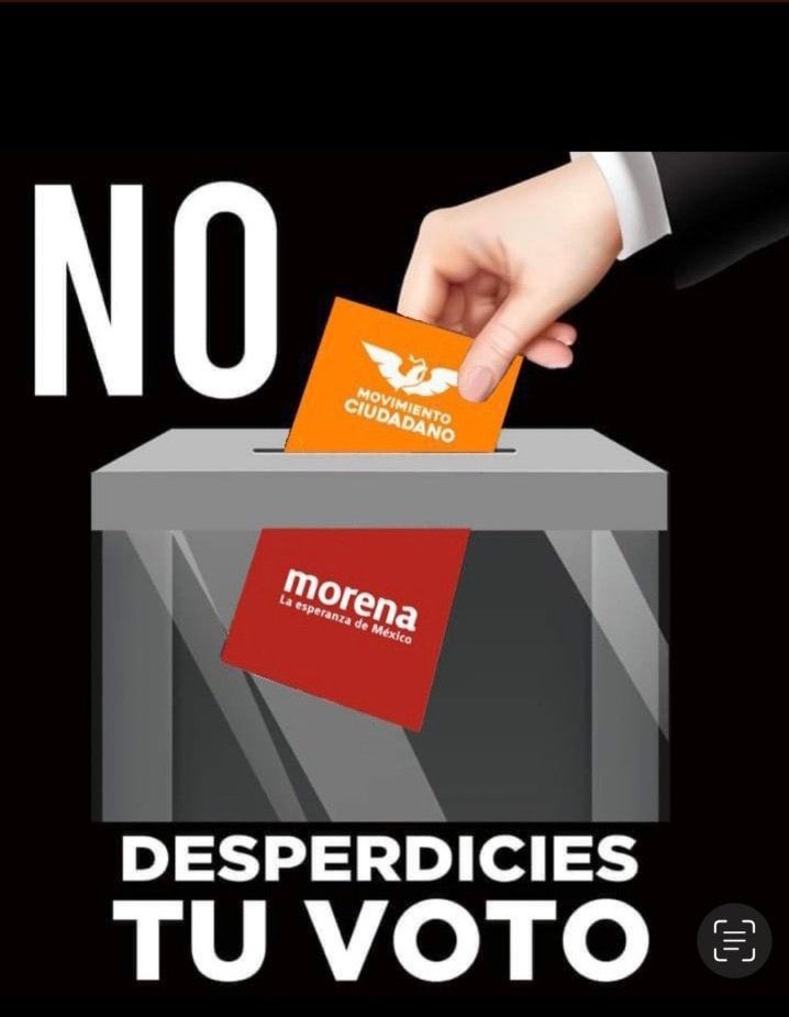 @Luiscarpintero @AlvarezMaynez Obvio!!!
No desperdicies tu voto!!!!