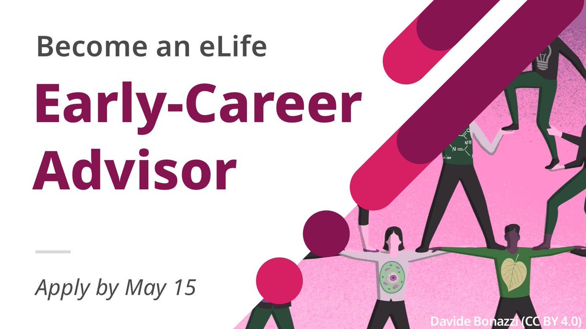 Want meaningful experience in science publishing and policy? You could join our Early Career Advisory Group, where early-career researchers work directly with eLife leadership to shape our mission. elifesciences.org/inside-elife/3…