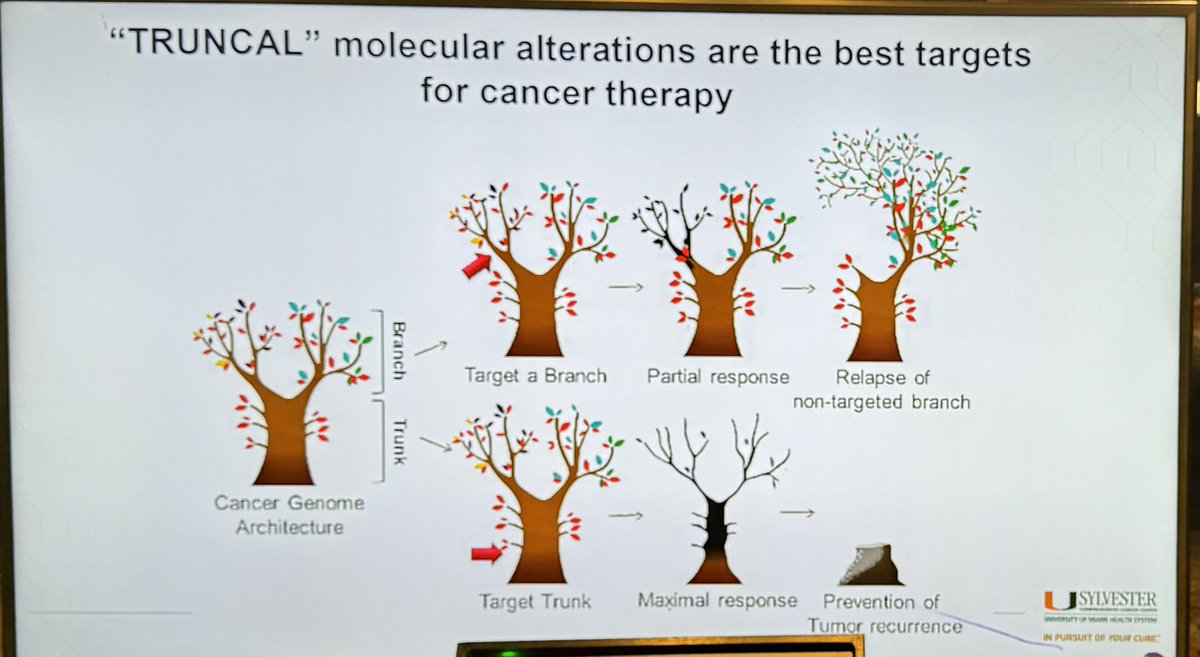 #MPM2024 Fascinating talk by Prof. Antonio Iavarone @sylvestercancer (Deputy Cancer Center Director) on Multi-omics classification and finding new therapeutic strategies in GBM w machine learning. 2nd Biennial Miami Precision Medicine Conference