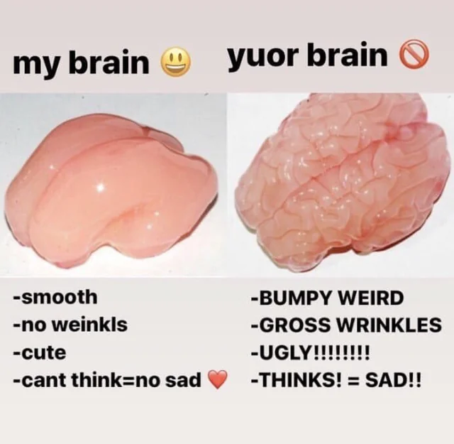 kunxbt's tweet photo. https://t.co/9S5wjqHILU