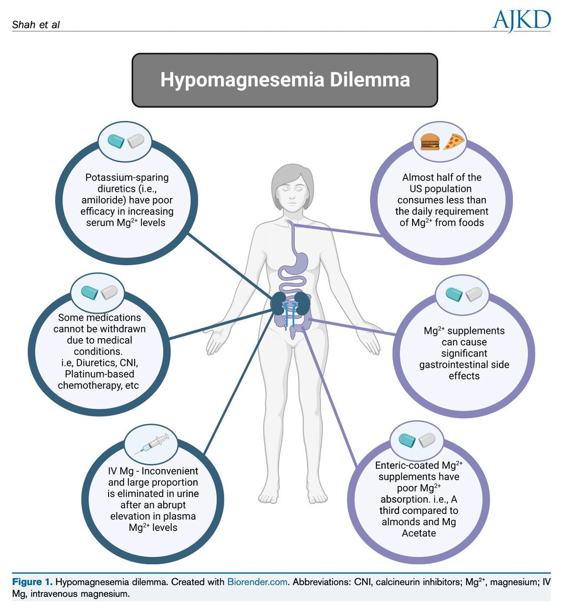 AJKDonline's tweet image. Review by Chintan V. Shah, @Nephro_Sparks, and Chien-Te Lee:

Sodium/Glucose Cotransporter 2 Inhibitors and Magnesium Homeostasis

buff.ly/3Urbg9J (FREE)

@DukeKidney