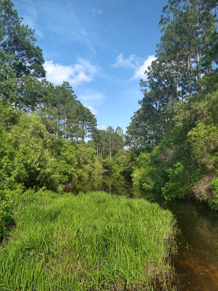 #PhotographyIsArt #Landscapes #fla