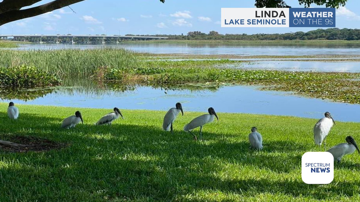 Always a great picture from Linda at Lake Seminole. Warming up today, even in Seminole, to the mid to upper 80s. #flwx @jlinkerwx