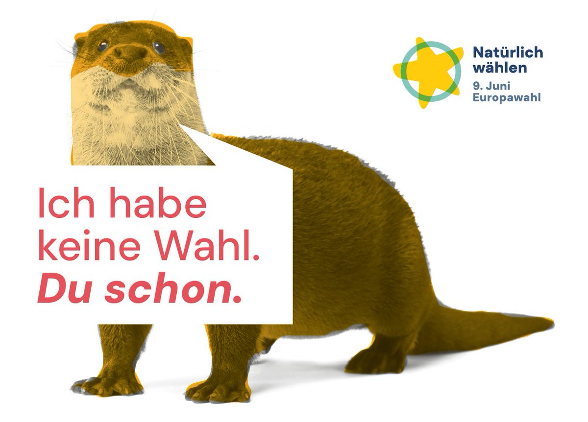 Wer von den Otten nicht genug kriegen kann: Beim @naturschutzring gibts Otter-Postkarten zur #Europawahl! 👉natürlichwählen.eu/download-natue… #NatürlichWählen