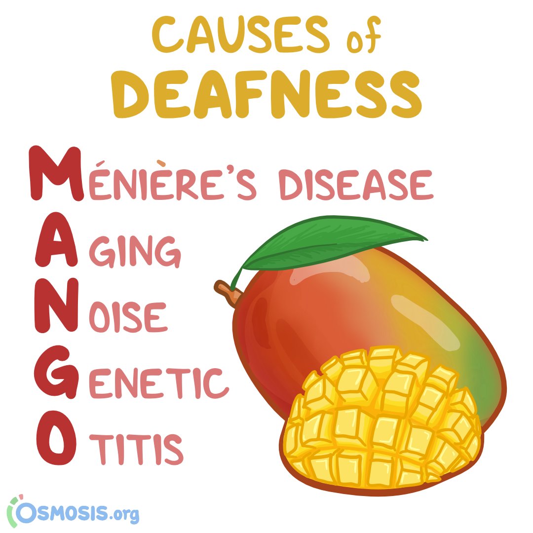 Happy #DeafAwarenessWeek! In support, today's #ClinicalPearl is a helpful mnemonic for remembering causes of #deafness.

Learn more: osms.it/cp-hearing-los… #LearnByOsmosis