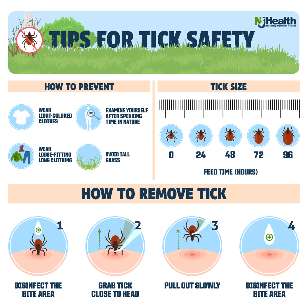Do you know how to properly remove a tick? Learn the technique and other ways to avoid tickborne illness by visiting: fightthebite.nj.gov #HealthierNJ #FighttheBite