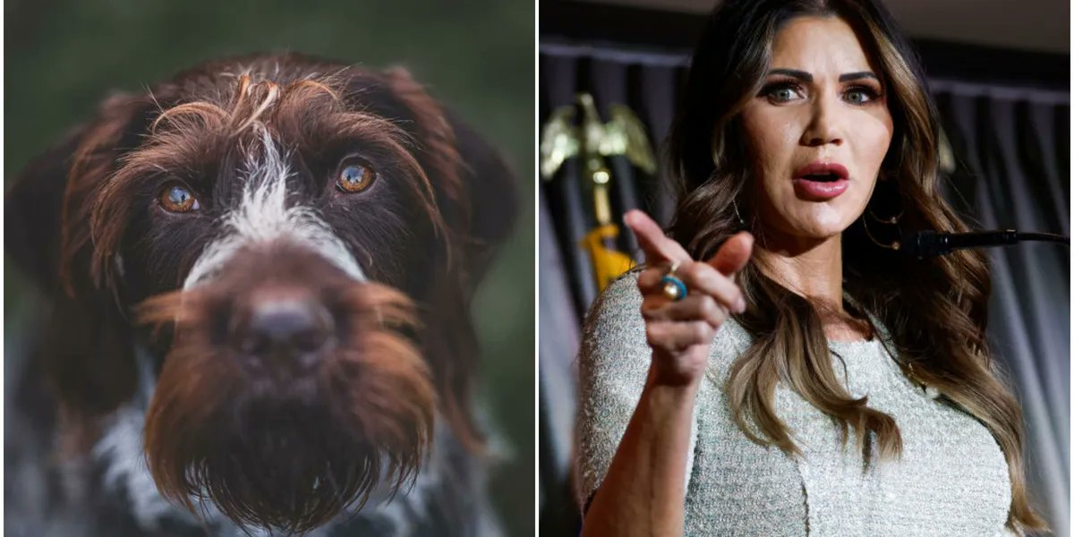 .
Hello Twitter World,

today we learned that @KristiNoem, who doesn't care about the life of a 14-month old dog, doesn't believe in the truth either.
This also applies to the 'sacred bond of marriage'.

These Republicans are all hypocrites, liars and criminals.

#TeamCricket  🐾