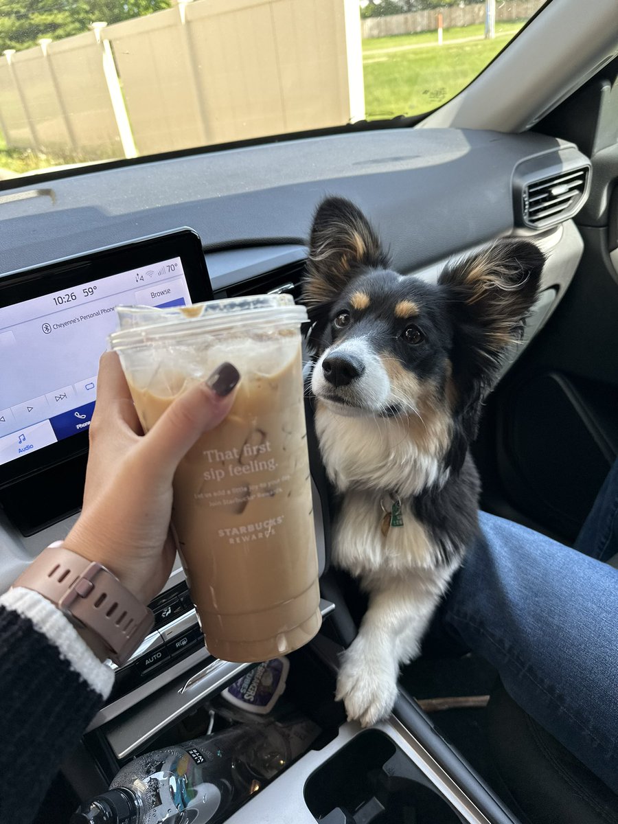 ✨BIRTHDAY STREAM IS LIVE! ✨

Here is a picture of my free birthday coffee this morning! 

twitch.tv/CheyEgg