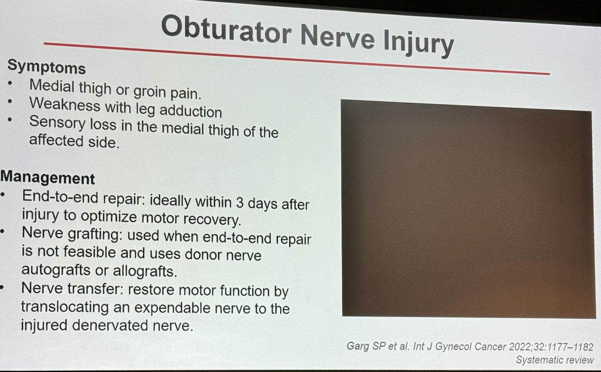 Tiago Borelli Bovo tweet media