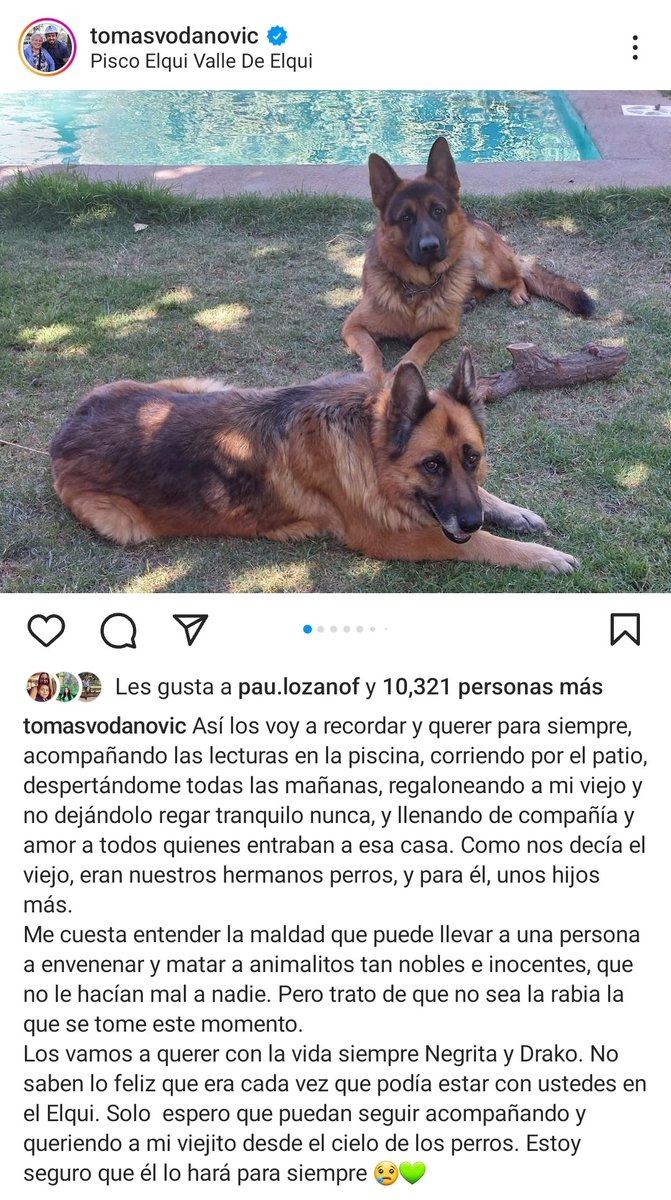 🚨 MISERABLES : ENVENENAN Y MATAN A LOS PERROS DEL ALCALDE DE MAIPÚ, TOMÁS VODANOVIC. Así lo detalla en Instagram el edil, no se conocen más detalles del hecho por el momento. Los que envenenan perros, por la razón que sea, son las peores escorias que existen.