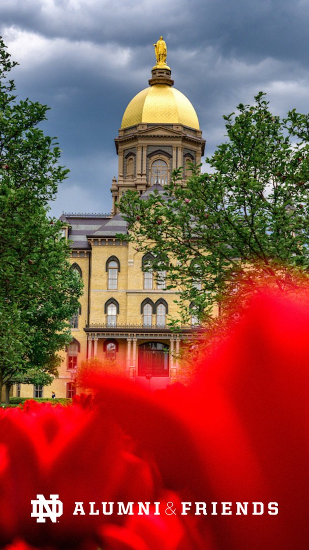 Bringing tulip season on campus right to your lock screen! 🌷 Just hit 'save' on your favorite photos to set as your new wallpaper ☘️