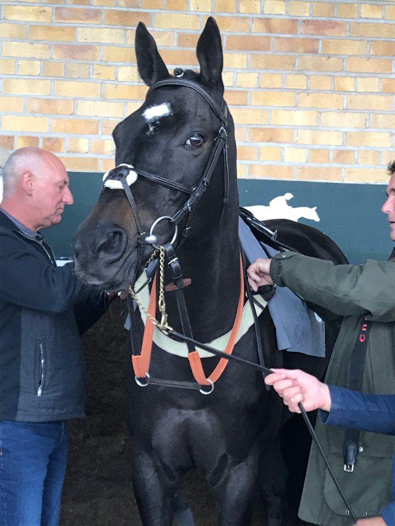 iain robertson (@iainrobertson5) on Twitter photo What a run from our old boy Starsky today <a href="/HamiltonParkRC/">Hamilton Park</a> for <a href="/MikeSmithRacin1/">R Mike Smith Racing</a> , beaten just over 1/2 length by 2 4yos,not bad for a 9yo & a great front running ride from <a href="/311_mathers/">paddy mathers</a> #blackfriday What a run from our old boy Starsky today <a href="/HamiltonParkRC/">Hamilton Park</a> for <a href="/MikeSmithRacin1/">R Mike Smith Racing</a> , beaten just over 1/2 length by 2 4yos,not bad for a 9yo & a great front running ride from <a href="/311_mathers/">paddy mathers</a> #blackfriday