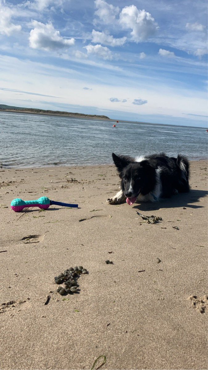 Aberdyfi am y diwrnod ☀️