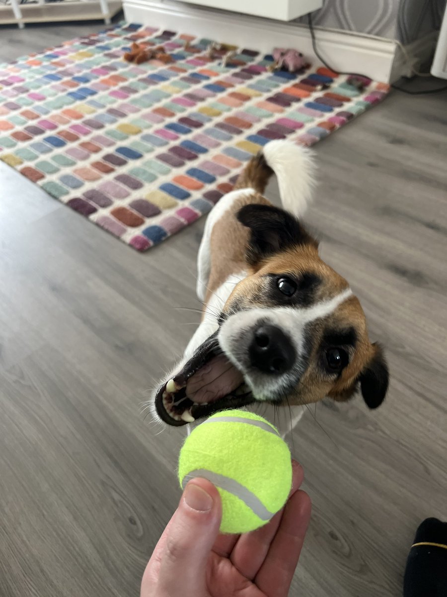 Is_Right's tweet image. Car clean &amp;amp; Teddy