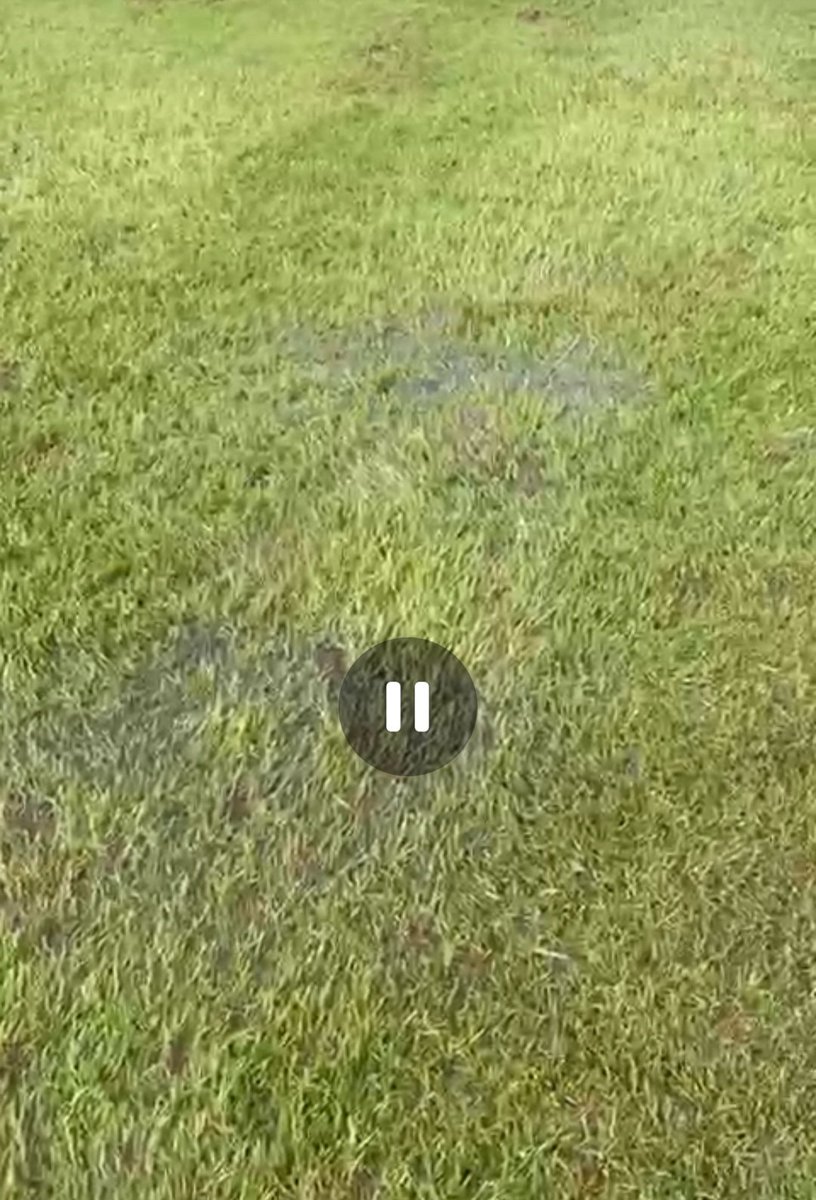 Carrib United CC tweet media