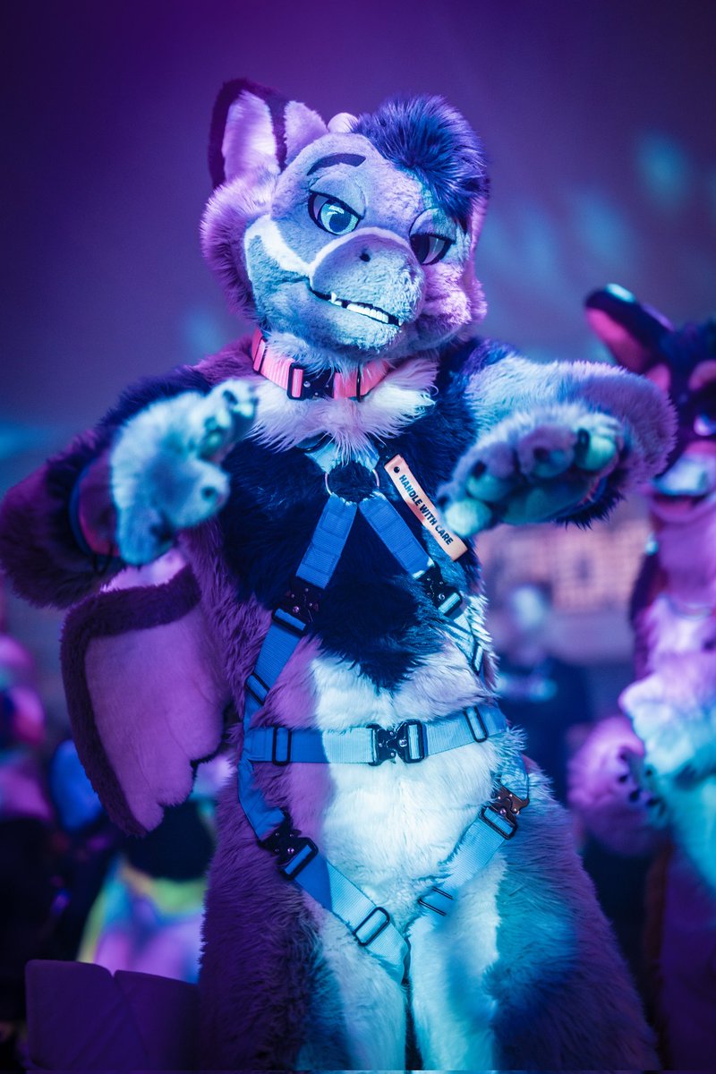 You wanna dance, till we can't no more? 📸: @Nighti331