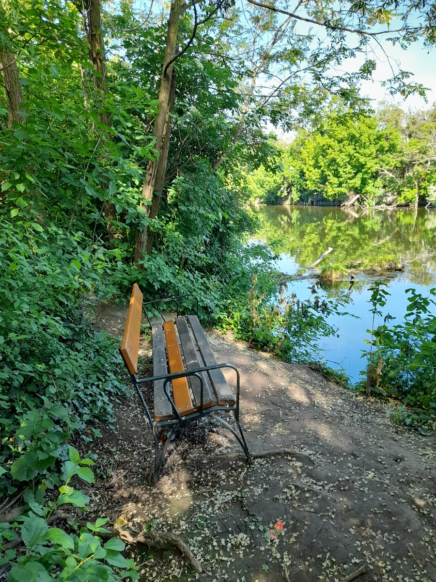 @experienceloire @Pauline_Nollet @GaiaGR36 @JusteCentriste @DocArnica @MyFaveBench @PF33160 @DELARUEEm @Salerpipopette @so_tourisme @philippepoustis @PuthonM @Slygardy @67PJ Mon banc dominical/ My Sunday Bench💚 #Wasserpark #Vienns