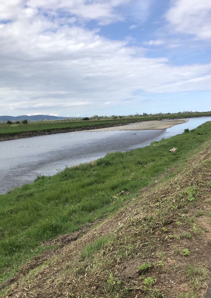 The sight and smell of sewage flowing into a river. Nothing like the great British bank holiday experience!