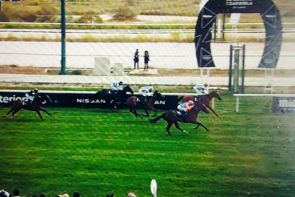 turfCaballo's tweet photo. Carrera 4

Orden llegada: 
1º- 8 (Spirituale - A.Werle (G.Roja) - A. Soto - Mediterraneo)
2º- 11 (West Of Wichita - R.N.Valle - O. Anaya - Zacarias Sarmiento)
3º- 7 (Queen'S Request - R.Sousa - O. Anaya - Mediterraneo)
4º- 4 (Gualda - G.Gudej-Gay - R.C. Montenegro - Nearco) https://t.co/KtJVH37xC7