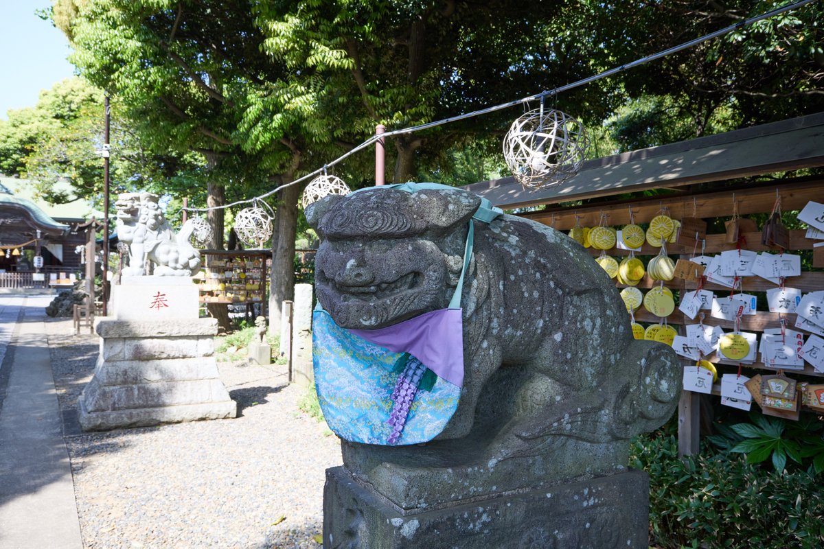 菊田神社の狛犬さん。

かわええ。

#eosr8 #rf1530