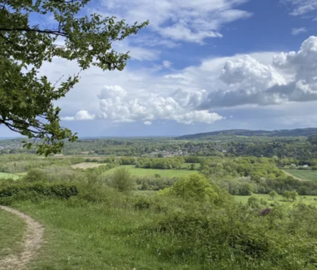 A beautiful Sunday morning walk in the Surrey hills & supposedly rac*st countryside! 🤷🏼‍♀️🌤️ Absolutely deserted here & nobody stops anyone from coming! Heaven! 🌳🌾🪻🍄‍🟫🐿️