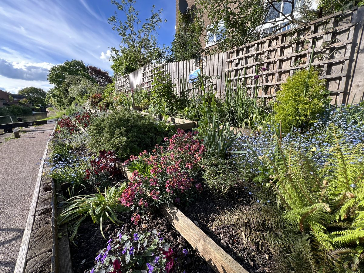 The @CanalRiverTrust volunteers have done an amazing job here in Stratford Upon Avon. Makes such a difference to the urban environment. #plants #nature