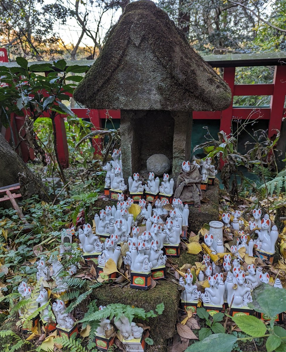 Sasuke Inari Shrine, Kamakura.
#DailyInari #kitsune