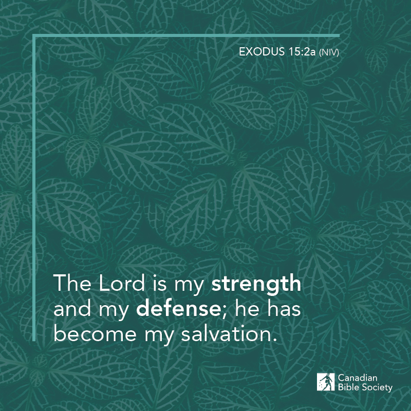 “The Lord is my strength and my defense; he has become my salvation.” EXODUS 15.2a (NIV) #bibleversedaily #bibleverses #bibleverseoftheday #versesfromthebible #biblestudy_verses #bibledailyverse #dailybiblereading #mydailybibleverse