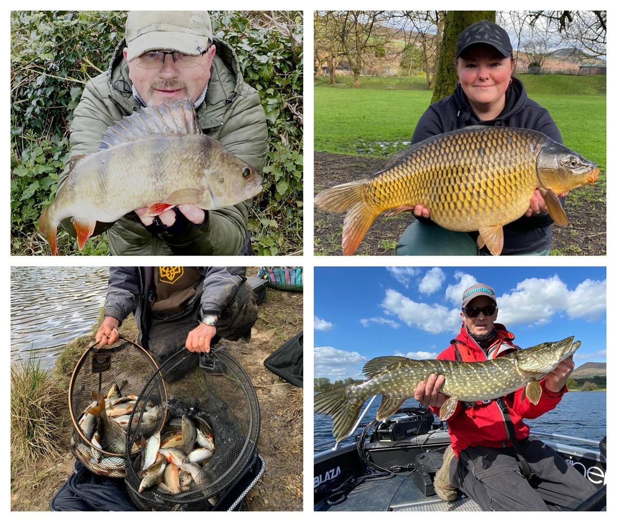 The latest coarse fishing report for Wales is now live on our ‘Fishing in Wales’ site! Check it out here: fishingwales.net/coarse-fishing… #fishinginwales #coarsefishing