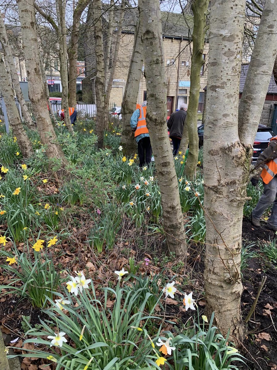 This is an appreciation post for Bacup Pride!🌱🌿 We want to thank you for your continued support and dedication to maintain and improve Bacup. Your hard work doesn't go unnoticed, thank you for all that you do to make our community a greener, more vibrant place to live.🌳