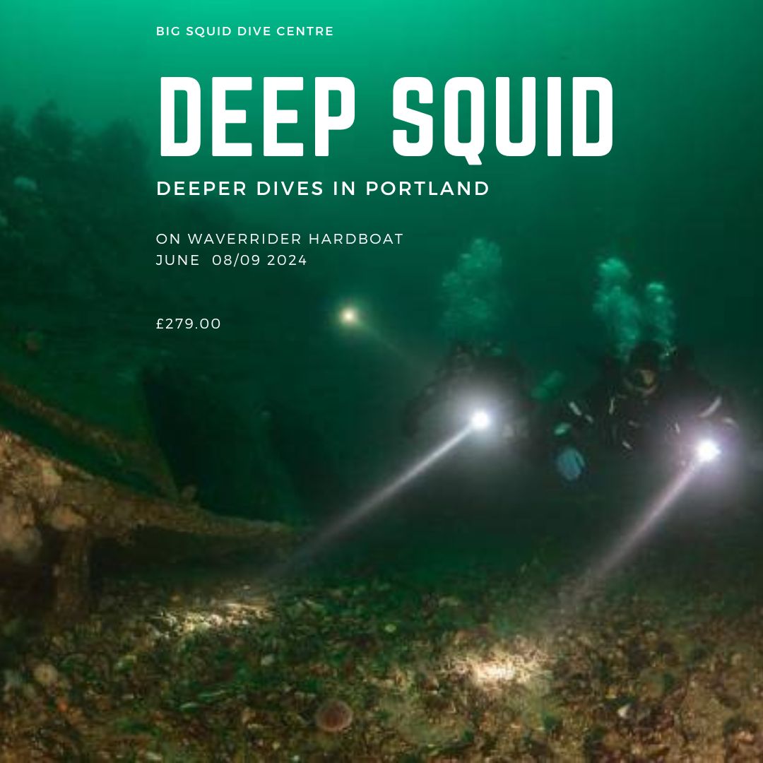 Come and join Big Squid on a Dive trip to Portland on the 8th and 9th June.
Depth ranges 18-25m, suitable for Advanced Open Water and above with UK diving experience.
bigsquid.co.uk/deep-squid/