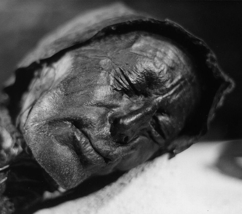 HistoricMystery's tweet photo. Police in Silkeborg, Denmark, were alerted to the discovery of a corpse in a bog; it was revealed to be a remarkably preserved bog body and was given the name Tollund Man.
#Todayinhistory #Tollundman #bogbody #history #Denmark https://t.co/Uji94l1tiy
