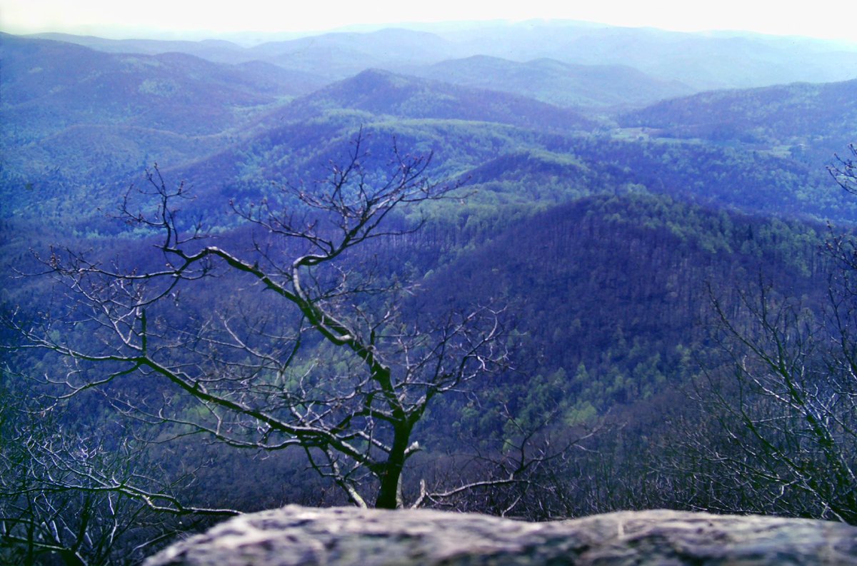 May 5, 1983, 41 years ago today: There was a nice view along the way from Ramrock Mountain's ridge crest and there were some excellent vistas from the summit of Big Cedar Mountain.

#backpacking #hiking #outdoors #Georgia #nature #forest #mountains #AppalachianTrail